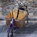 Carol Haines_Cat Carriage