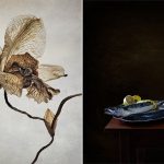 Starting from a Blank Canvas – Flower and Still Life Photography – Polina Plotnikova