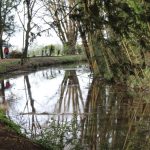 Zoe Ludlow_Reflections