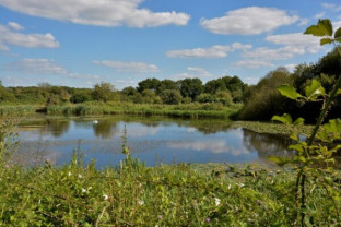 ImageZ Summer Zoom -Tuesday 28th July