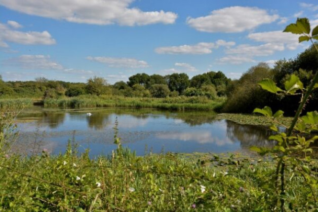 ImageZ Summer Zoom -Tuesday 28th July