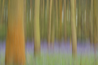 Coffee Morning on 20th Aug