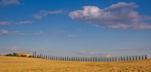 America and Tuscany – By John Gravett