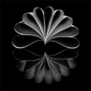 COMPETITION: Winner on the Night #2