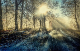 It’s an ImageZ Knockout – 26th January 2021