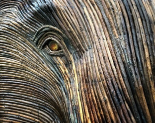 Mobile Phone challenge