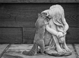 COMPETITION: Club Challenge #3 Reflection