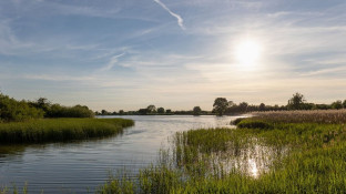 Summer meeting – Tring Reservoirs