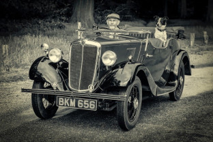 Vintage car at Ashridge by Chris Andrews