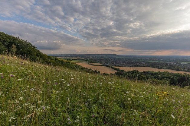 Summer Meeting – Whiteleaf Hill