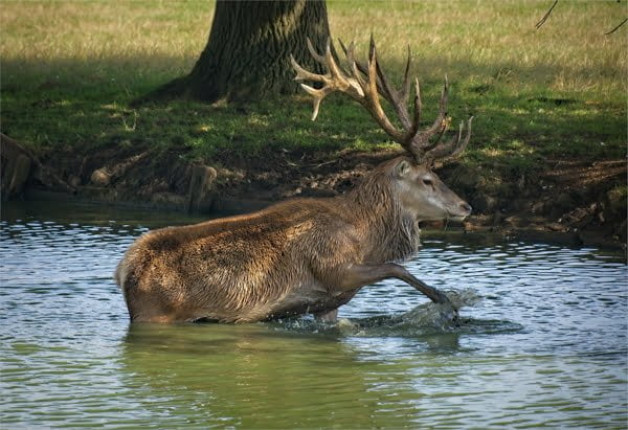 ImageZ Club Night – Image Critique