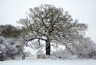 Looking Local – Guest Speaker Chris Shepherd