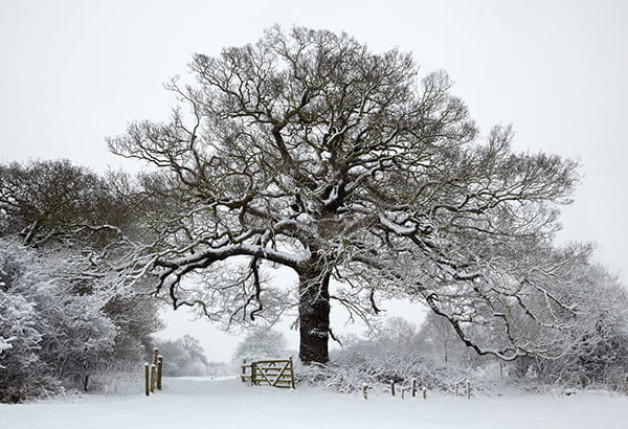 Looking Local – Guest Speaker Chris Shepherd