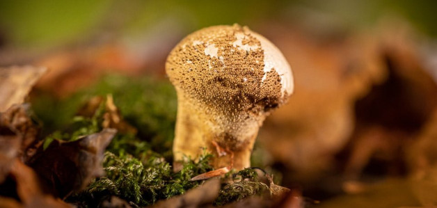 Table Top Photography – Practical Evening