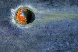 Peter Cox -Intimate Landscapes