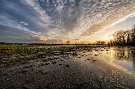 ImageZ Club Night – What to shoot in Winter?