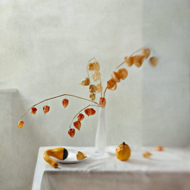 Starting from a Blank Canvas – Polina Plotnikova