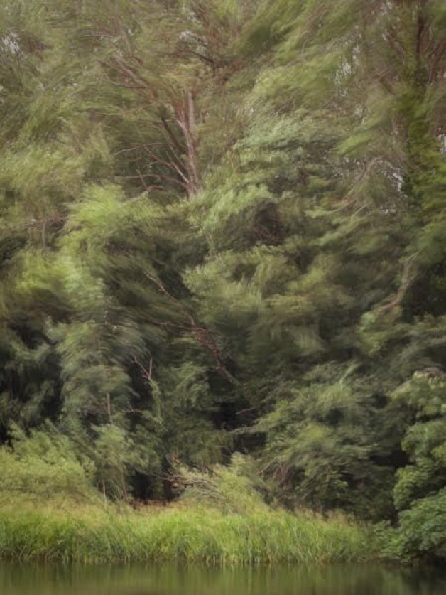 Competition – Winner on the Night #3