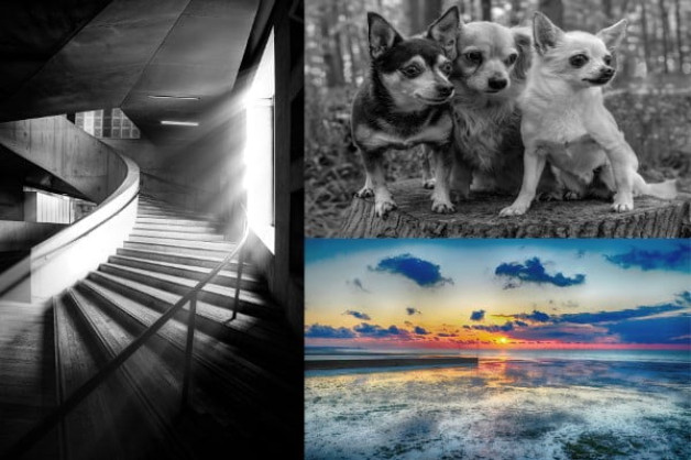 Winner On the Night #1