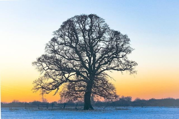 ImageZ Club Night – Informal Critique 2