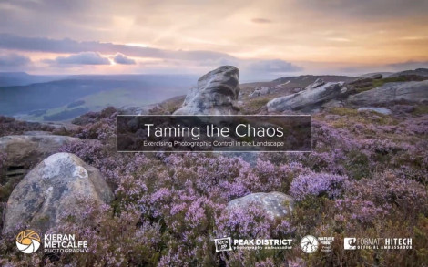 Taming the Chaos