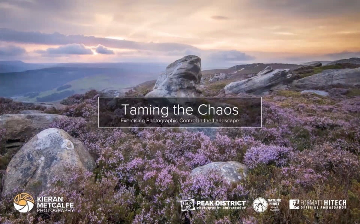 Taming the Chaos - ImageZ