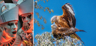 Winner on the Night #4