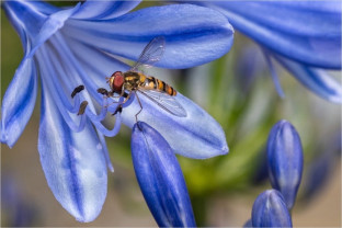 Best of the Best – 2023/24