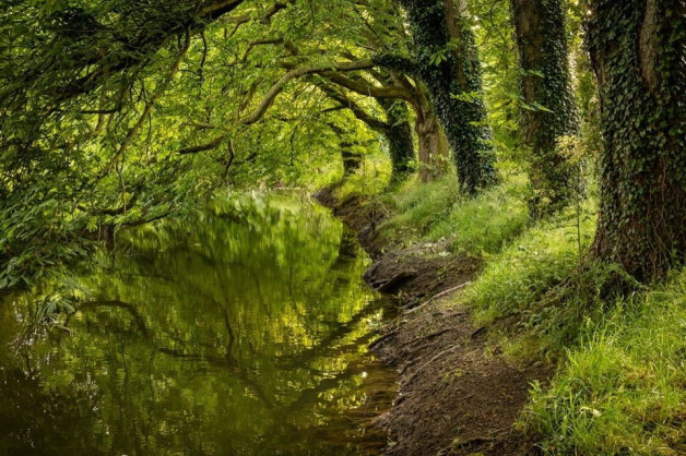 A Walk Around Eythrope