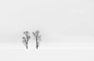 Rosemary Wilman – The Way, I See It