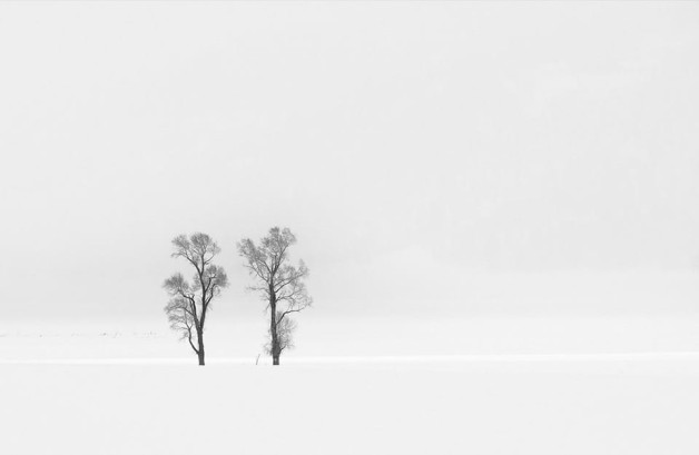 Rosemary Wilman – The Way, I See It