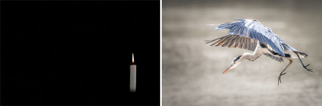 Winner on the Night 3