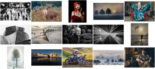 CACC Championship Day – PDI competition results