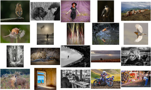 CACC Chilterns Hundred Members Exhibition