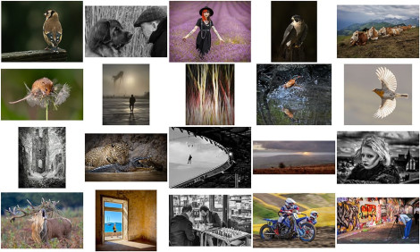 CACC Chilterns Hundred Members Exhibition