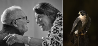 Winner on the Night #3