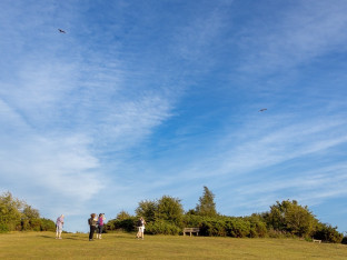 Summer Programme – Watlington Hill Nature Walk