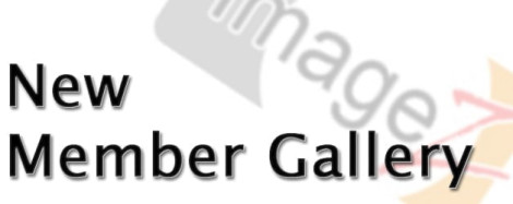 Chenxi Ni’s gallery page now online