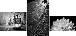 John Timbrell wins Monochrome print competition