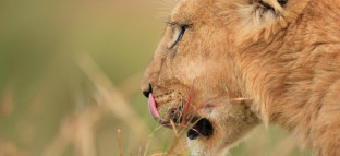 Learn how to take better photos with your camera