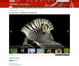 ZSL Animal Photography Prize 2014