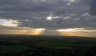 Coombe Hill Picnic Night
