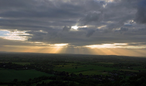 Coombe Hill Picnic Night