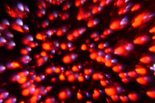Photographs taken with torches or candlelight, Tuesday 26th September