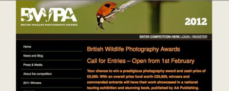 British Wildlife Photography Awards open for entries