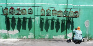 Winner on the Night (3), Tuesday 12th March 2019