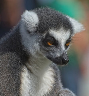 Preparing Your Images for Competitions, Tuesday 8th October 2019