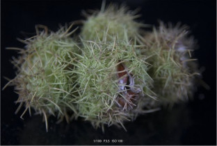 Exposure exercise, Tuesday 22nd October 2019