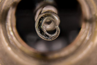 Macro Challenge Night – What can you see…?!