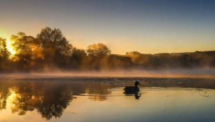 Members project from Peter Carter